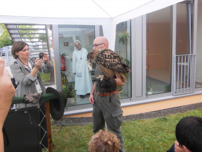 Greifvogel