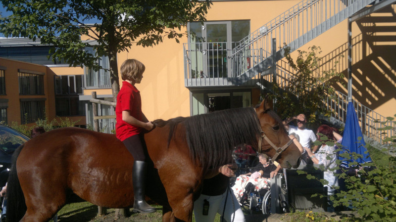 Ein Pferd stand im Garten!